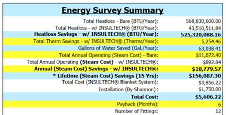 energy survey